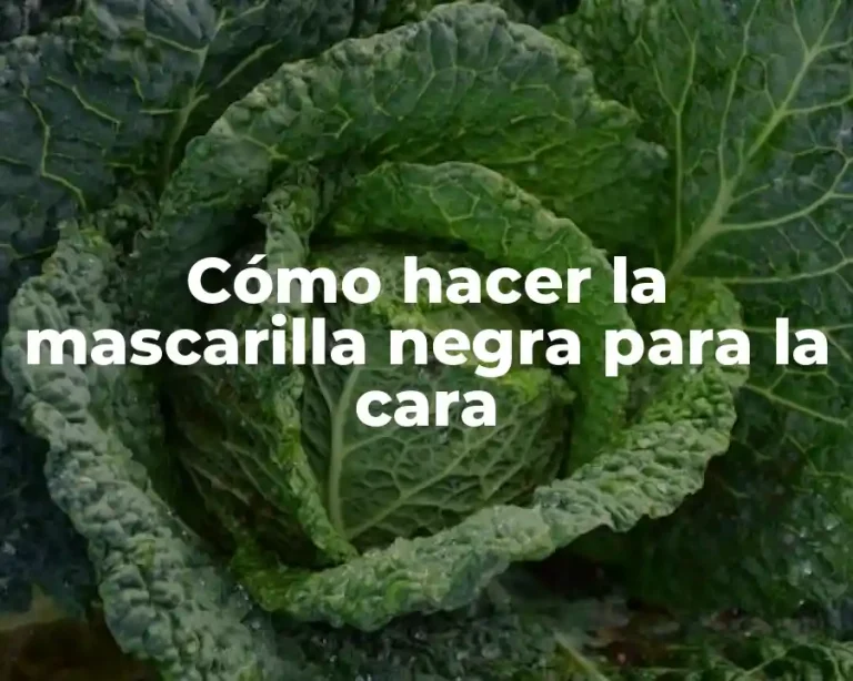 Cómo hacer la mascarilla negra para la cara