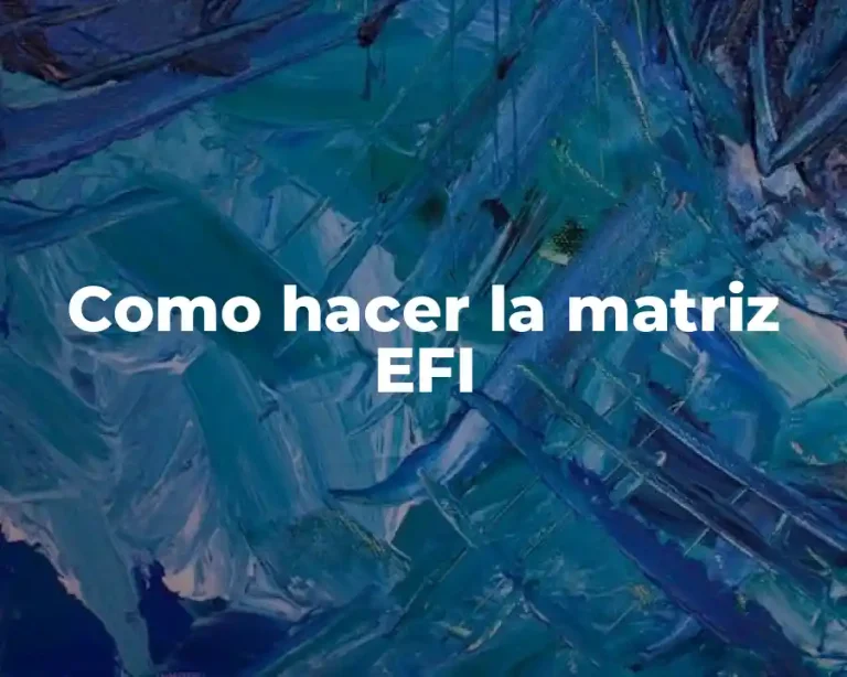 Como hacer la matriz EFI