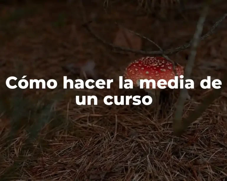 Cómo hacer la media de un curso