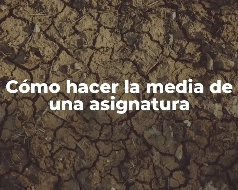 Cómo hacer la media de una asignatura