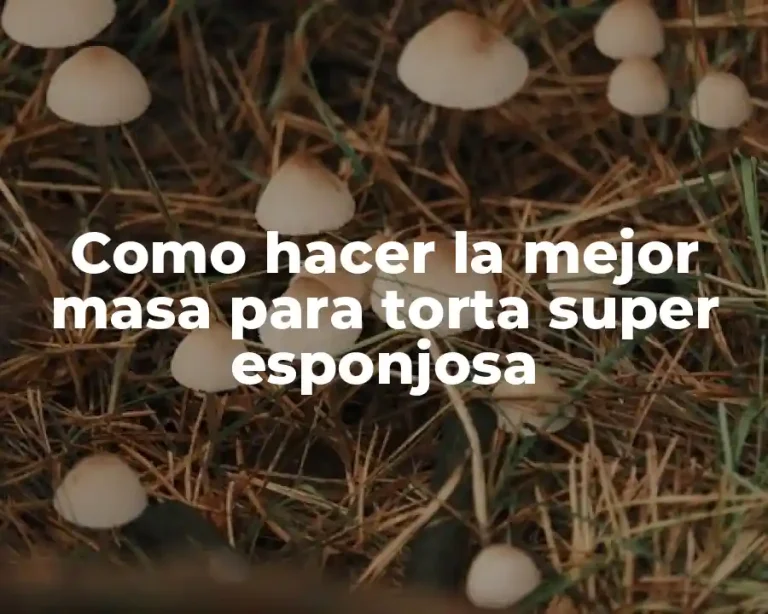 Como hacer la mejor masa para torta super esponjosa