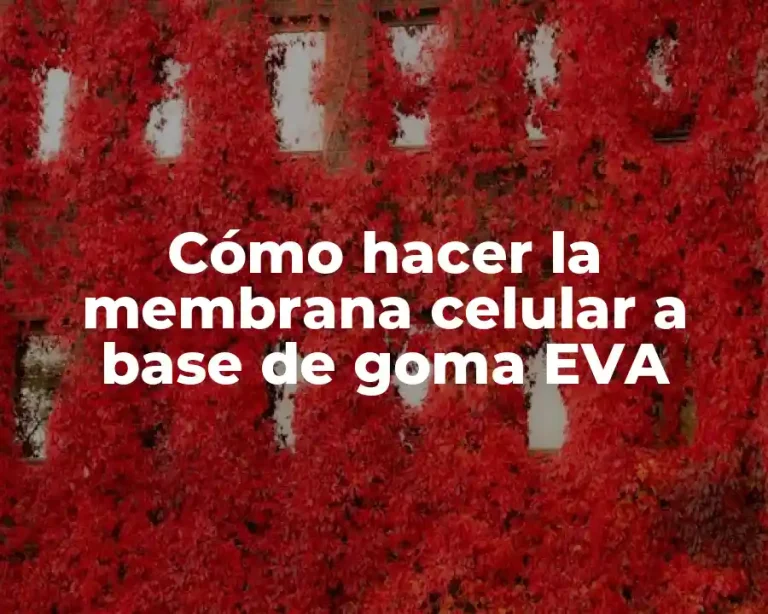 Cómo hacer la membrana celular a base de goma EVA