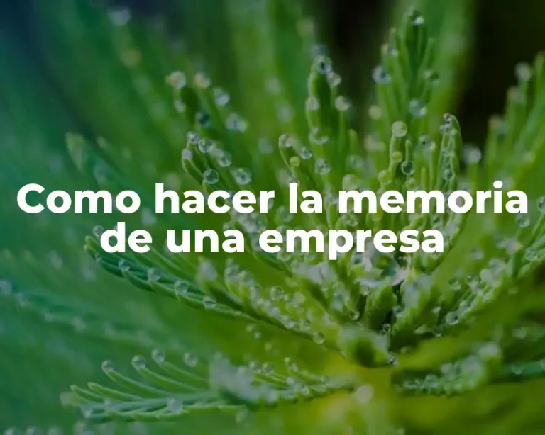 Como hacer la memoria de una empresa