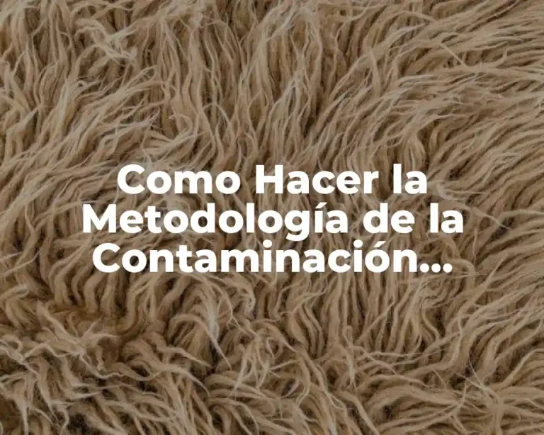 Como Hacer la Metodología de la Contaminación Acústica
