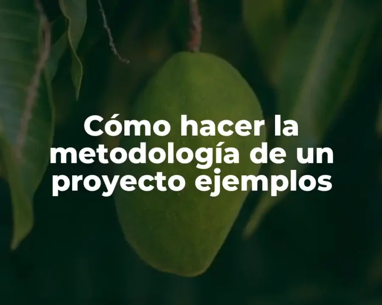 Cómo hacer la metodología de un proyecto ejemplos