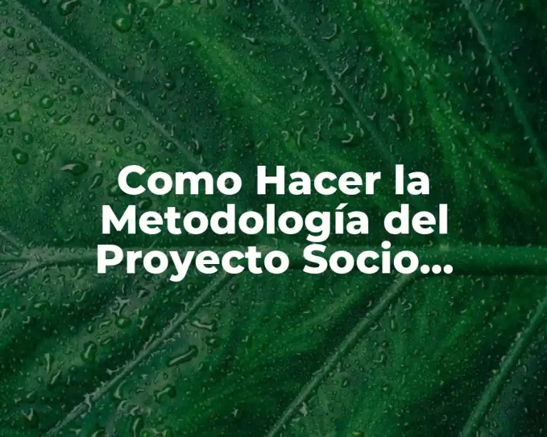 Como Hacer la Metodología del Proyecto Socio Comunitario