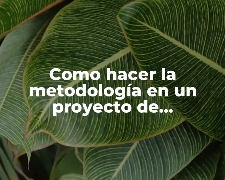 Como hacer la metodología en un proyecto de investigación