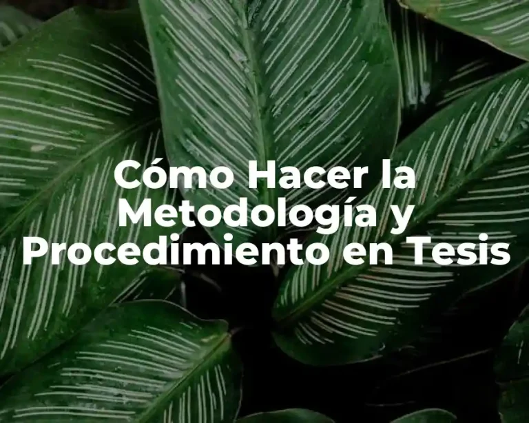 Cómo Hacer la Metodología y Procedimiento en Tesis