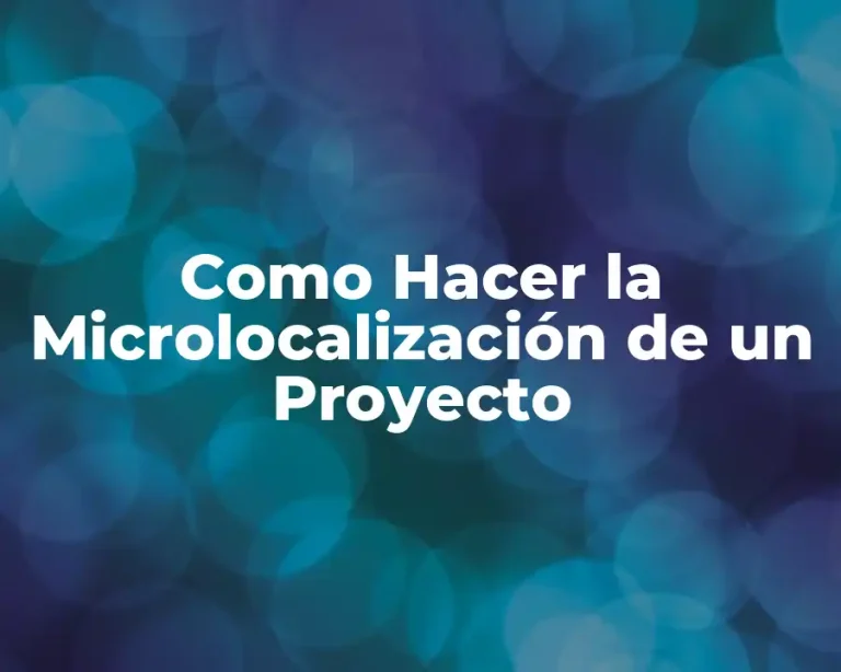 Como Hacer la Microlocalización de un Proyecto