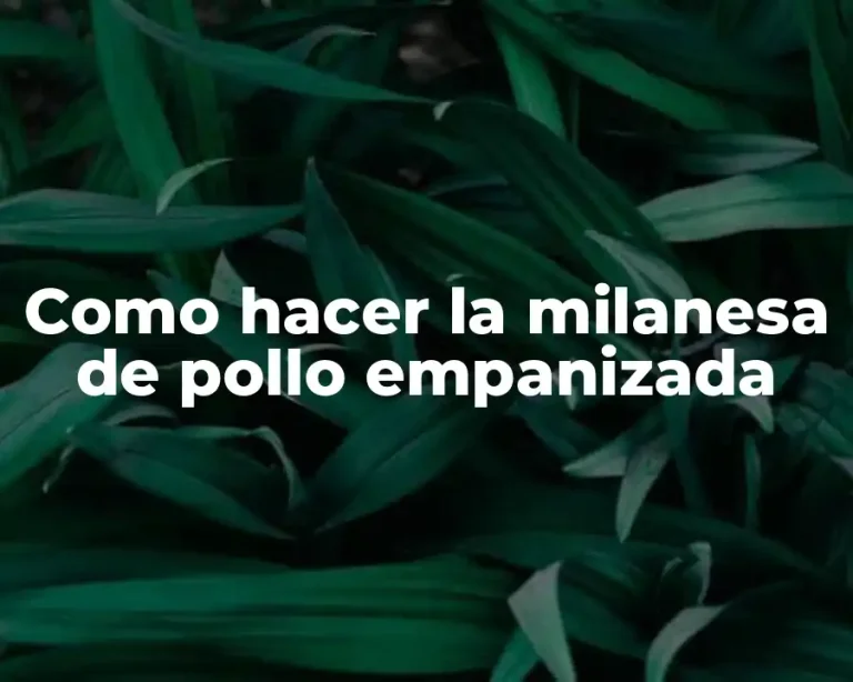 Como hacer la milanesa de pollo empanizada