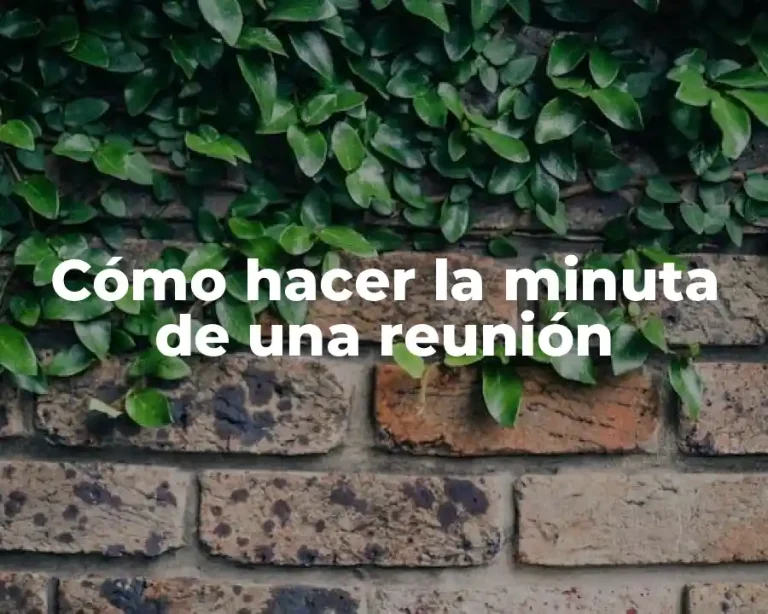 Cómo hacer la minuta de una reunión