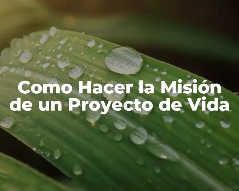 Como Hacer la Misión de un Proyecto de Vida
