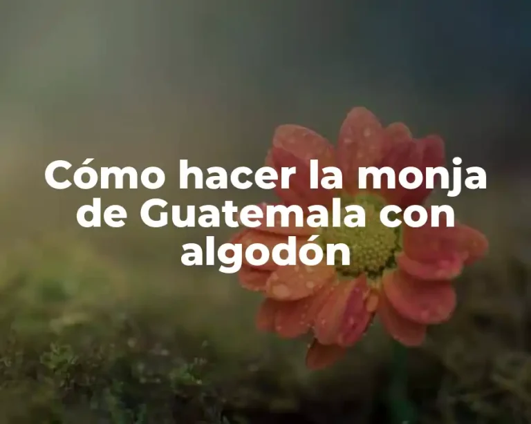 Cómo hacer la monja de Guatemala con algodón