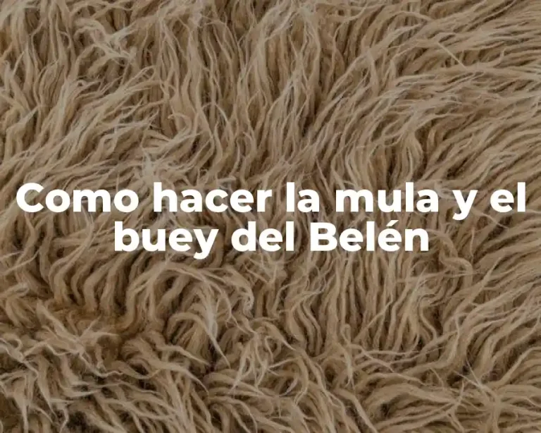 Como hacer la mula y el buey del Belén