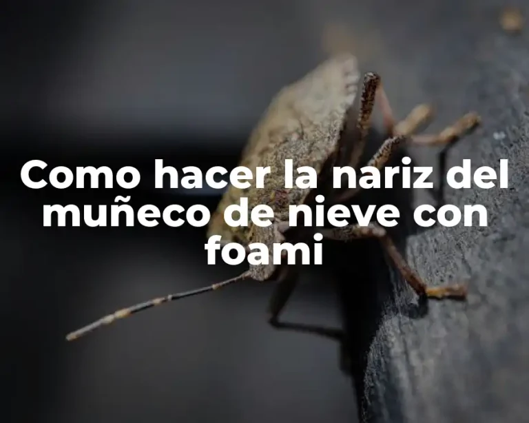 Como hacer la nariz del muñeco de nieve con foami