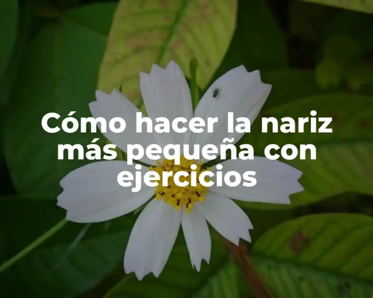 Cómo hacer la nariz más pequeña con ejercicios