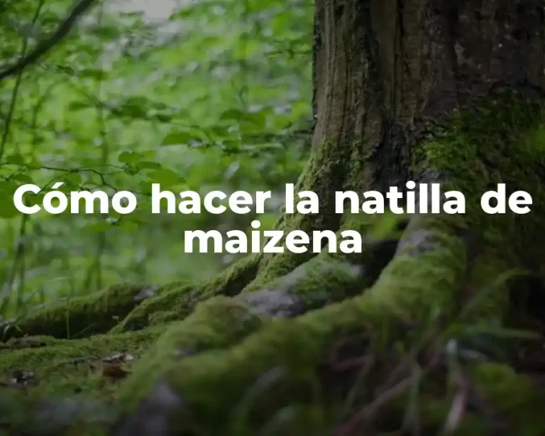 Cómo hacer la natilla de maizena