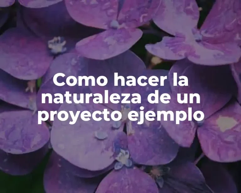 Como hacer la naturaleza de un proyecto ejemplo