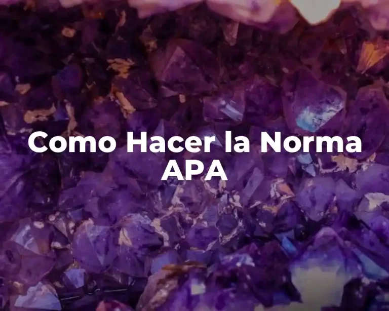 Como Hacer la Norma APA