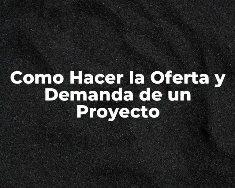 Como Hacer la Oferta y Demanda de un Proyecto