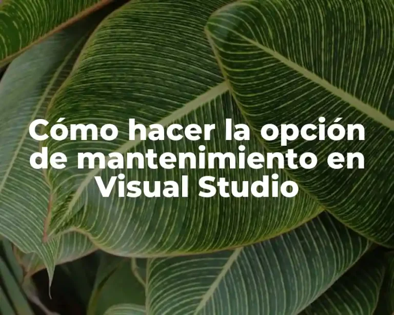 Cómo hacer la opción de mantenimiento en Visual Studio