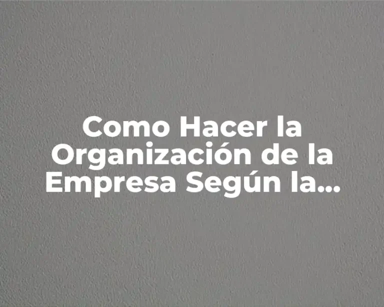 Como Hacer la Organización de la Empresa Según la Demanda
