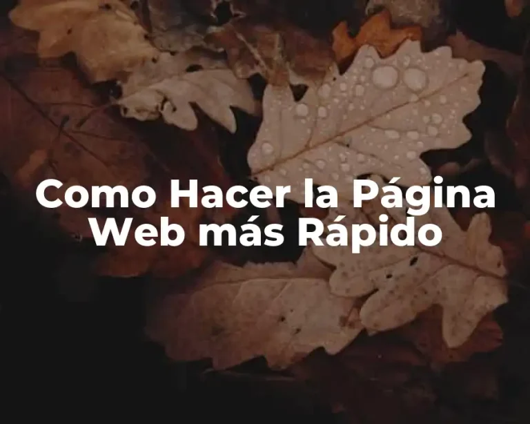 Como Hacer la Página Web más Rápido