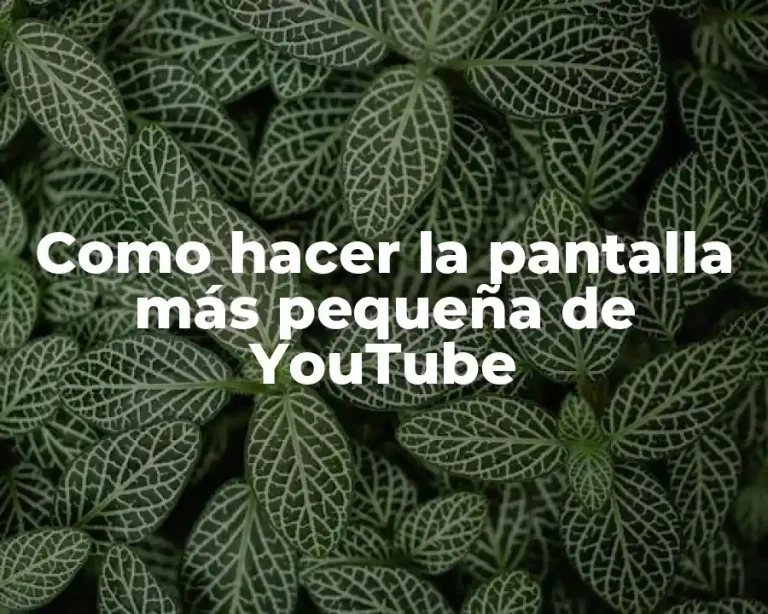 Como hacer la pantalla más pequeña de YouTube