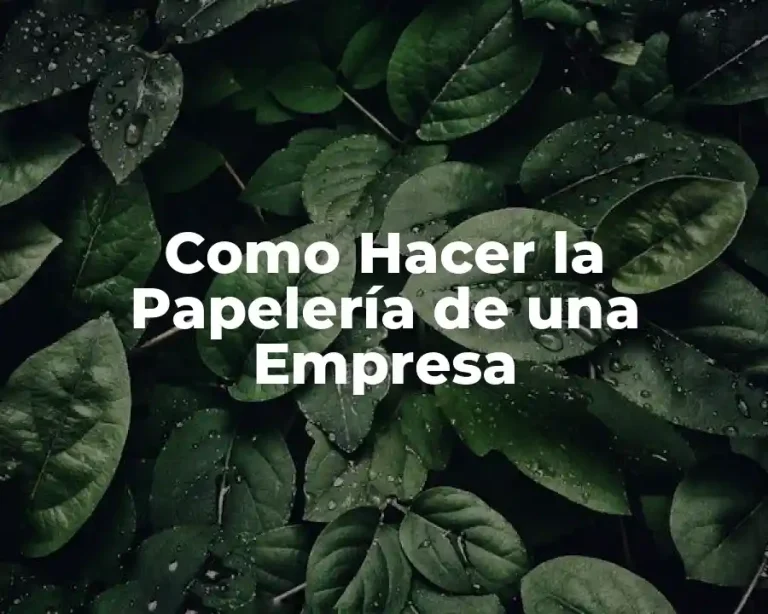 Como Hacer la Papelería de una Empresa