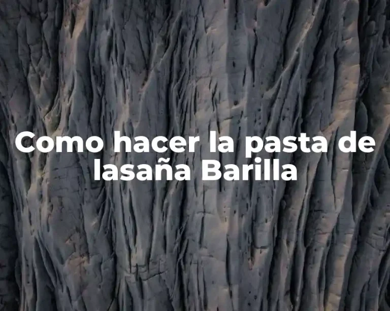 Como hacer la pasta de lasaña Barilla