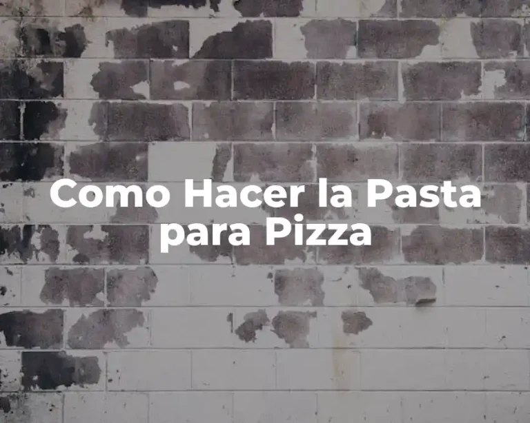 Como Hacer la Pasta para Pizza