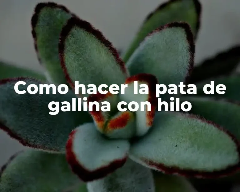Como hacer la pata de gallina con hilo