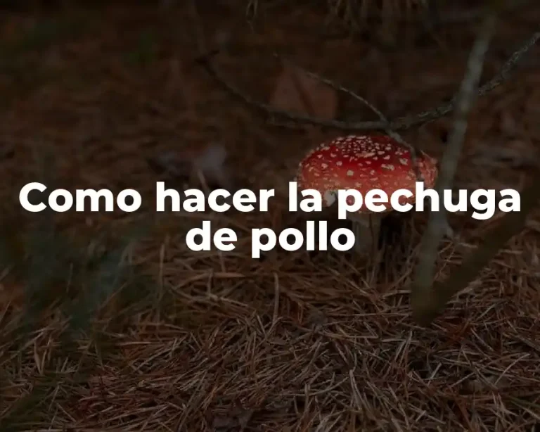 Como hacer la pechuga de pollo