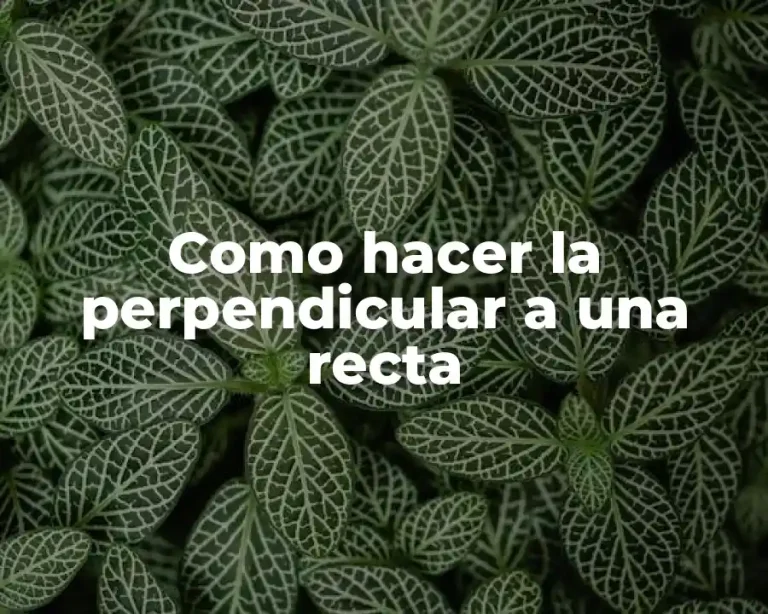 Como hacer la perpendicular a una recta