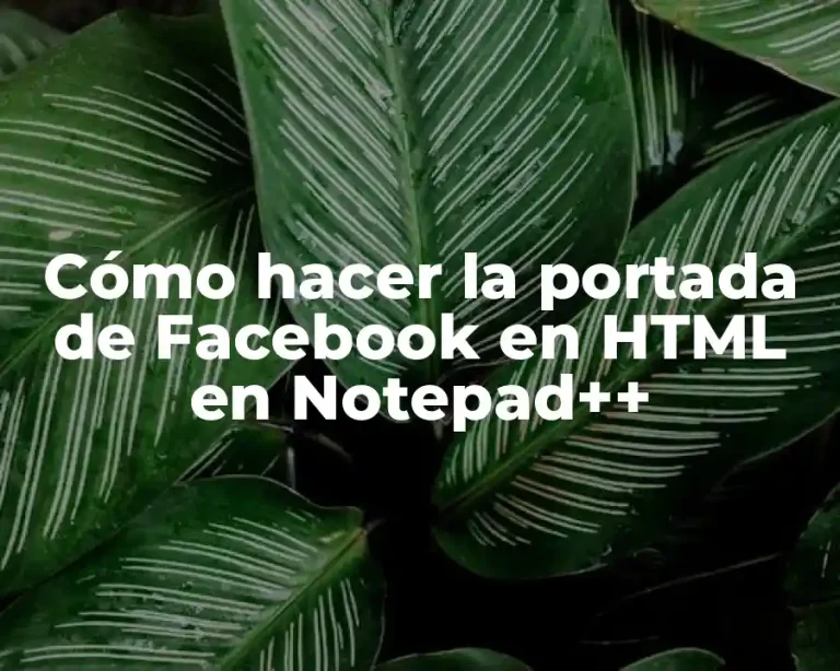 Cómo hacer la portada de Facebook en HTML en Notepad++