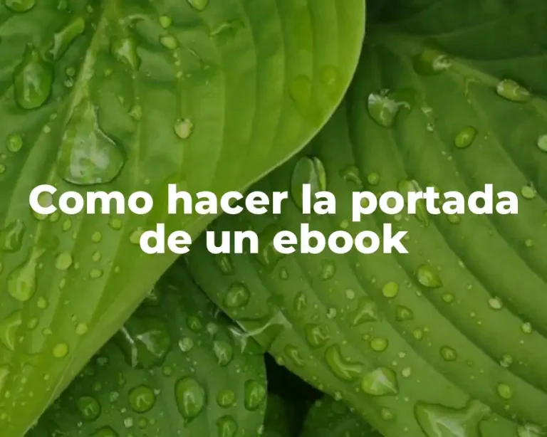 Como hacer la portada de un ebook