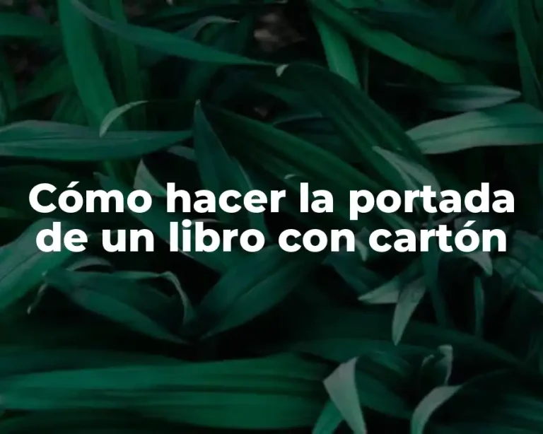 Cómo hacer la portada de un libro con cartón