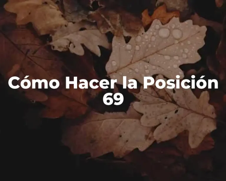Cómo Hacer la Posición 69