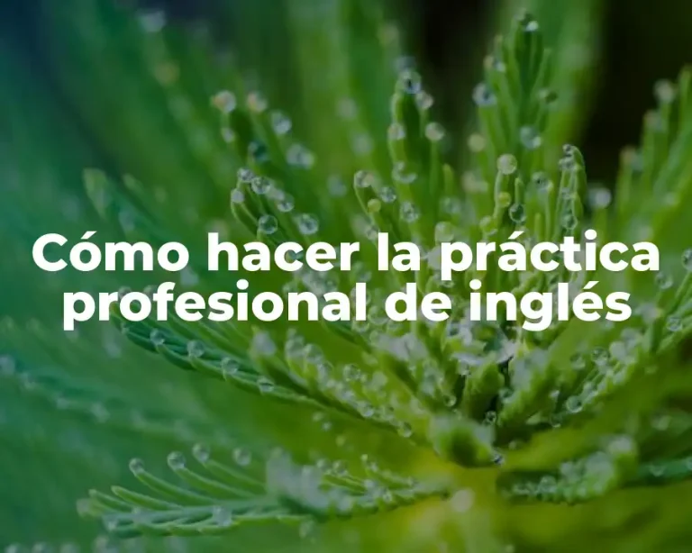 Cómo hacer la práctica profesional de inglés