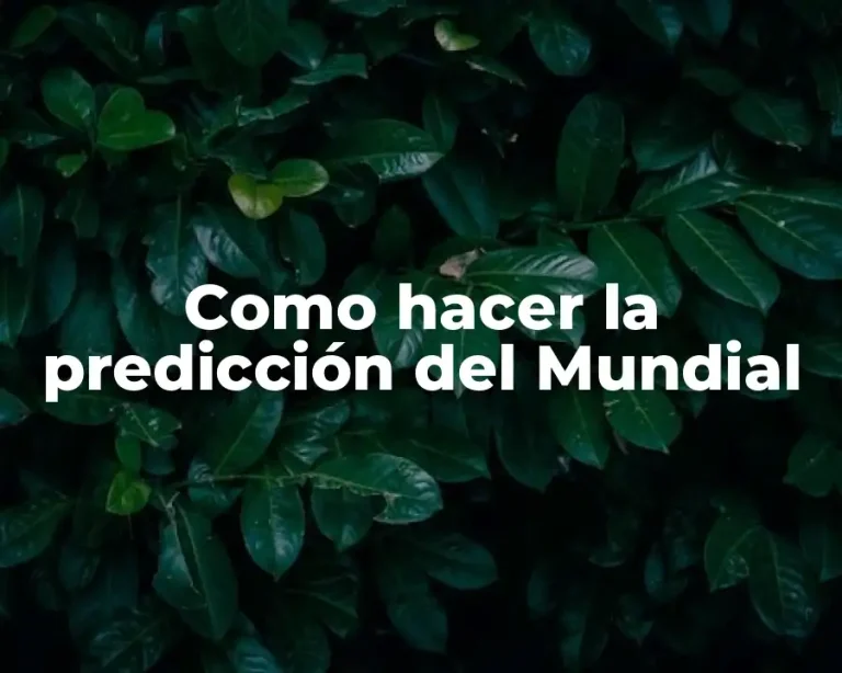 Como hacer la predicción del Mundial