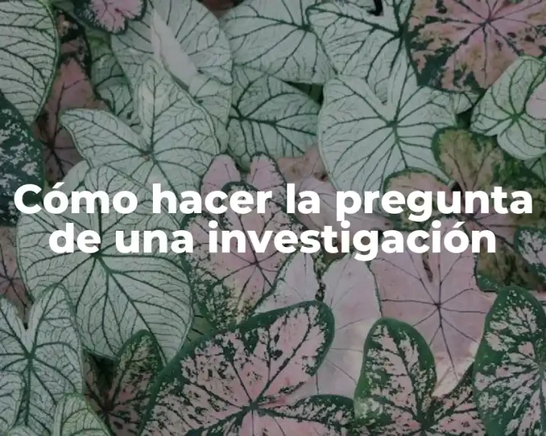 Cómo hacer la pregunta de una investigación