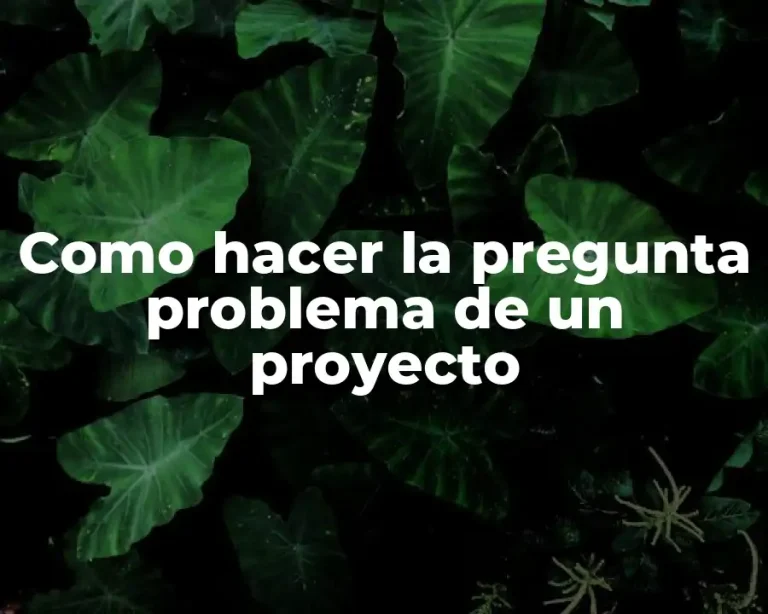 Como hacer la pregunta problema de un proyecto