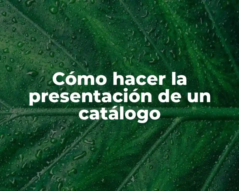 Cómo hacer la presentación de un catálogo