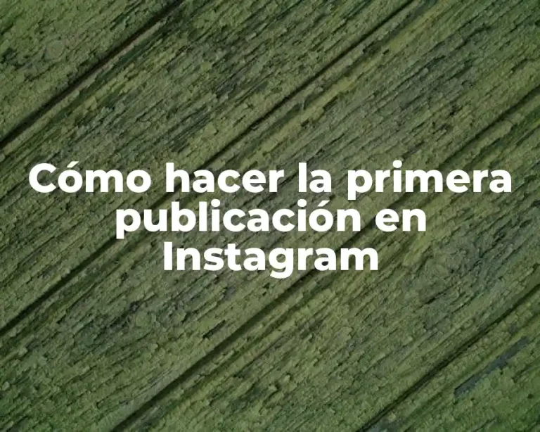 Cómo hacer la primera publicación en Instagram