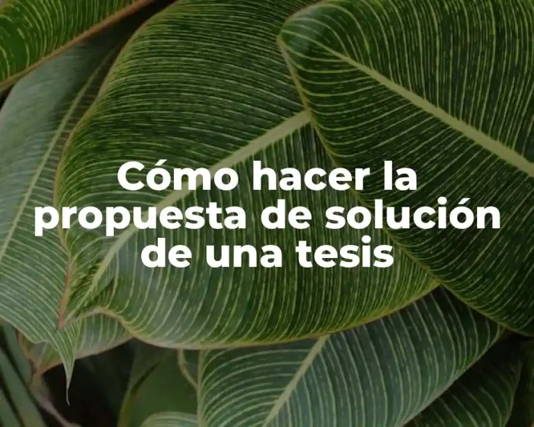 Cómo hacer la propuesta de solución de una tesis