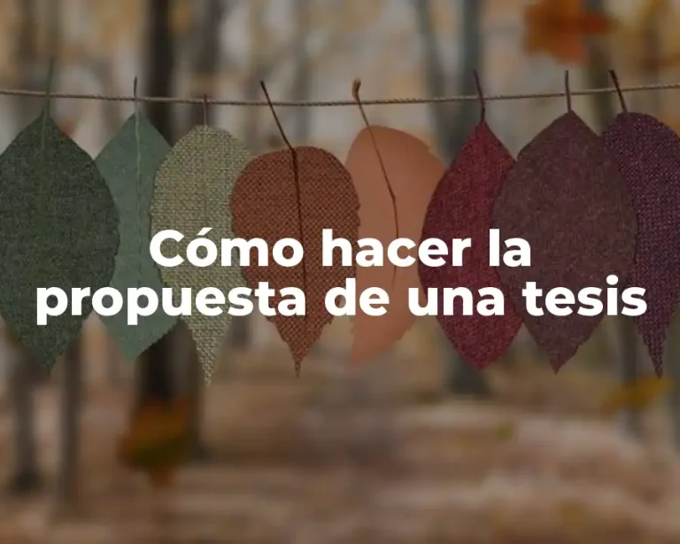 Cómo hacer la propuesta de una tesis