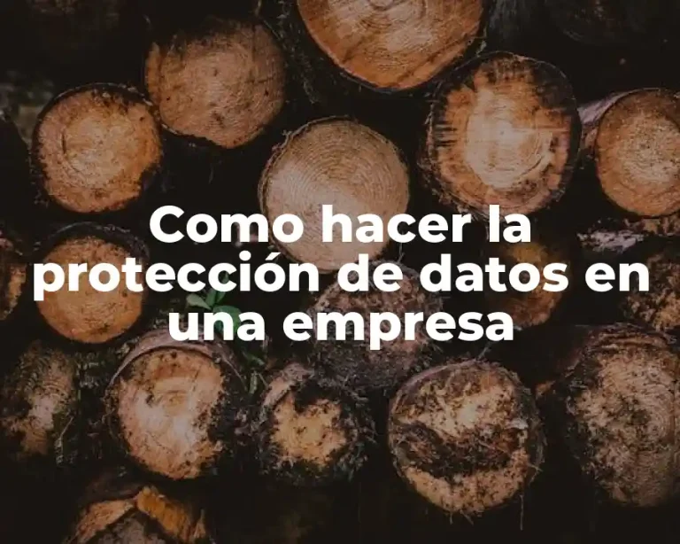 Como hacer la protección de datos en una empresa