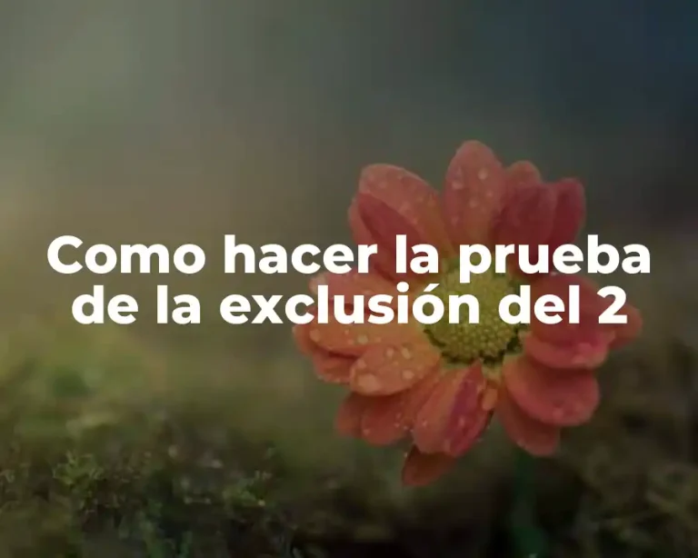 Como hacer la prueba de la exclusión del 2