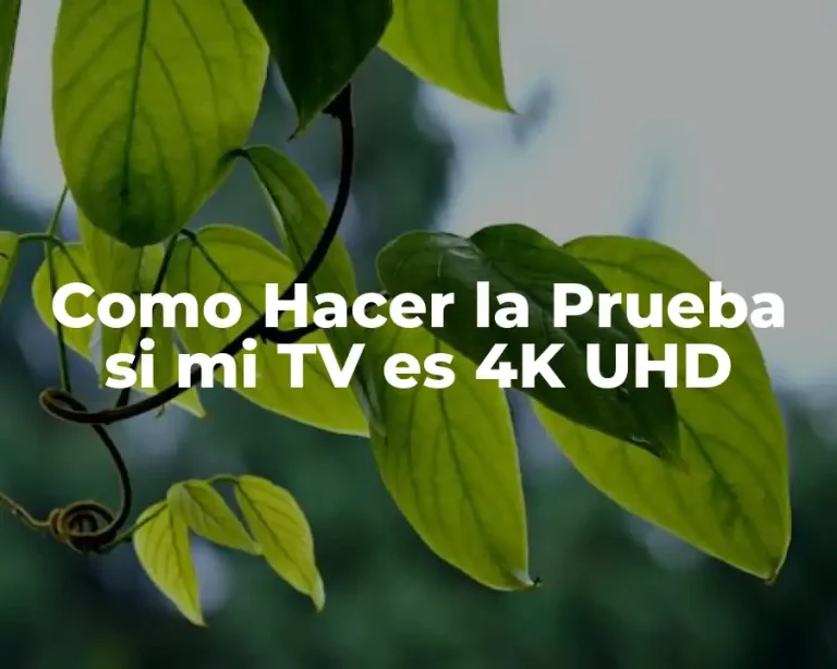 Como Hacer la Prueba si mi TV es 4K UHD