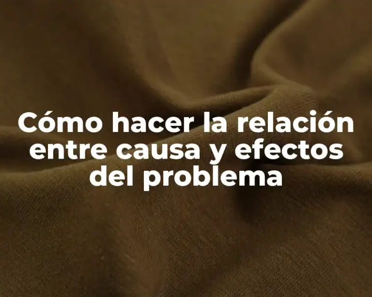 Cómo hacer la relación entre causa y efectos del problema
